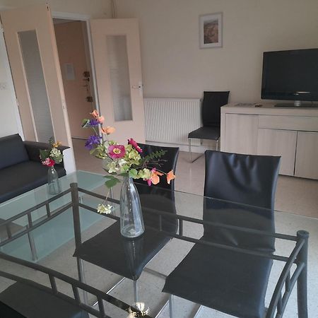 Appartement F3 Avec Balcon Perpignan Kültér fotó